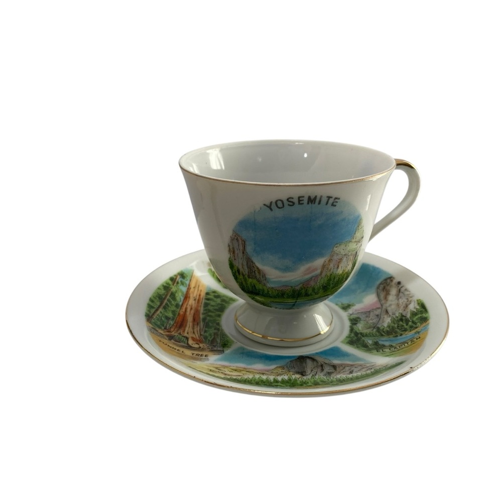 Vintage Yosemite‎ National Park Footed Bone ChinaTea Cup Saucer Gold Gilded Trim